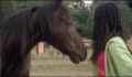 dr dolittle 3-avi_542.jpg